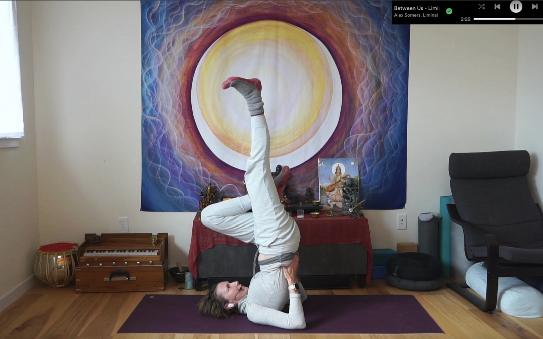 Somatic Asana: Allow Everything